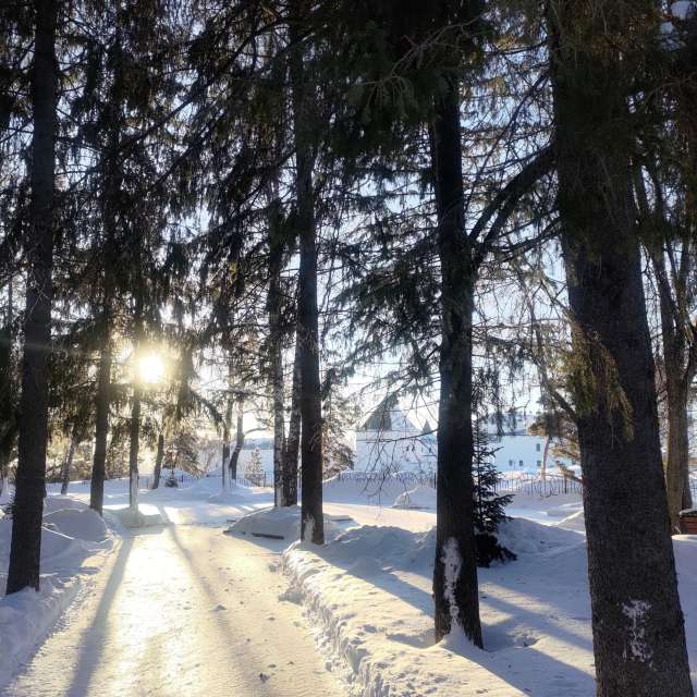 世界的天气照片. 天气预报，带Lara357精美的照片