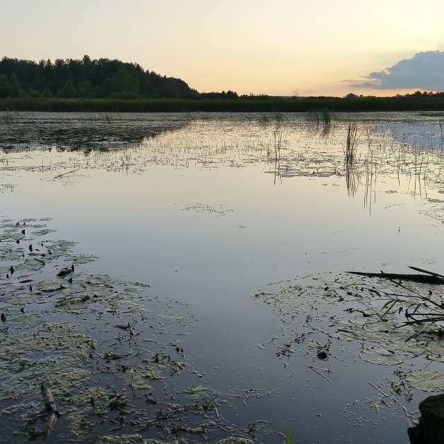 Wettervorhersagen mit schönen Fotos von Valiukas