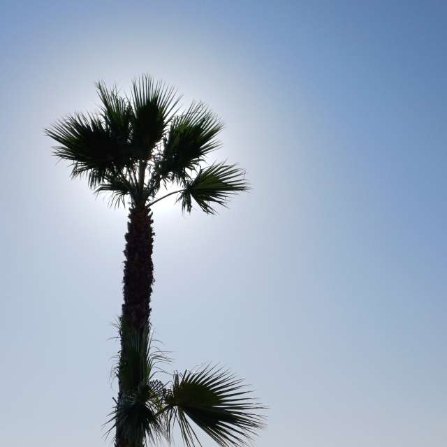 Weather forecasts with beautiful photos by Ermanno