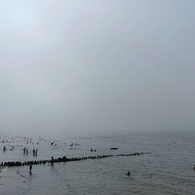 Fotos A lei. Previsões do tempo com lindas fotos de Михаил Бондаренко em Pionerskiy