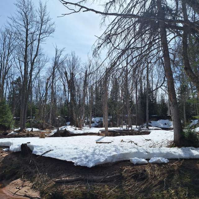 Weather forecasts with beautiful photos by NorthernMichiganBeauty