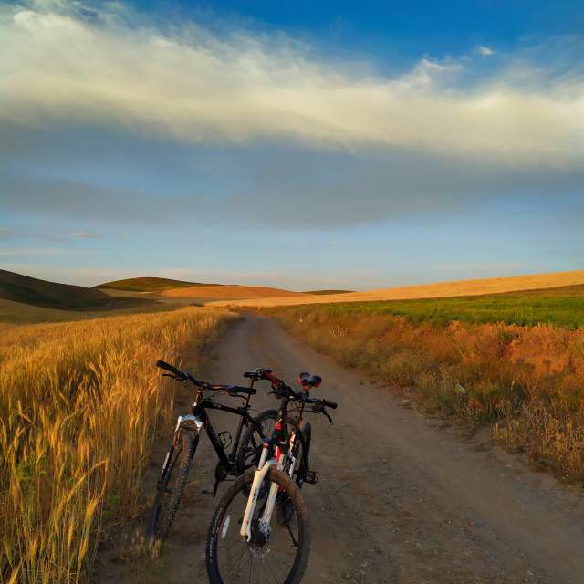 Pronósticos del tiempo con hermosas fotos de zabih_hasanvand