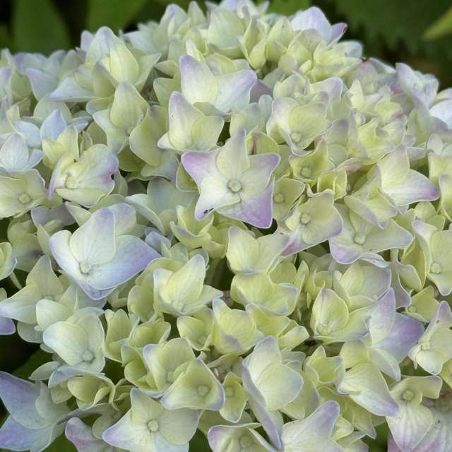 Fotos Contador. Previsões do tempo com lindas fotos de あさのジジ em Okayama