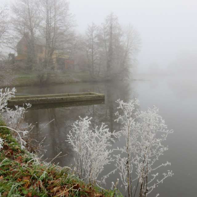 Weather forecasts with beautiful photos by MariePhotos