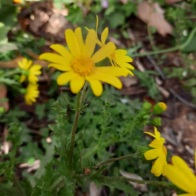 Weather forecasts with beautiful photos by Jess88