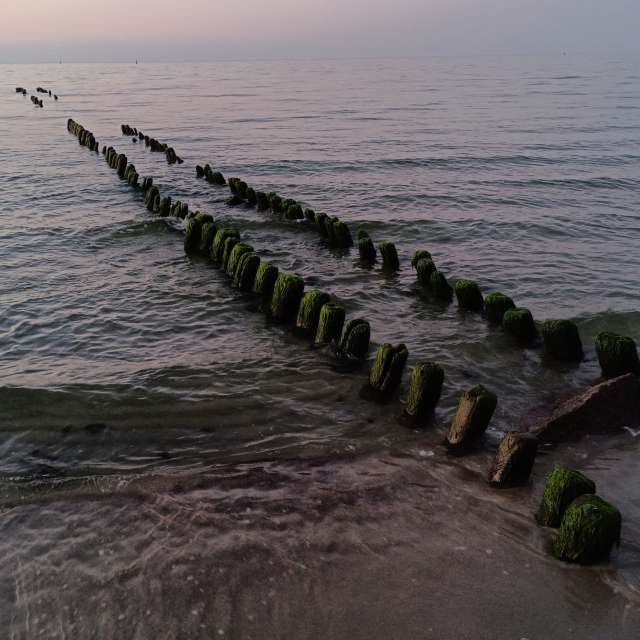 Fotos Corpo. Previsões do tempo com lindas fotos de Михаил Бондаренко em Pionerskiy