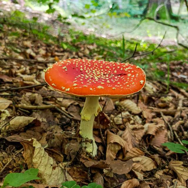 Weather forecasts with beautiful photos by _richardd