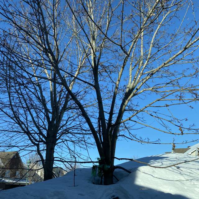 Front. Wettervorhersagen mit schönen Fotos von Lulu5523 Fotos Outaouais