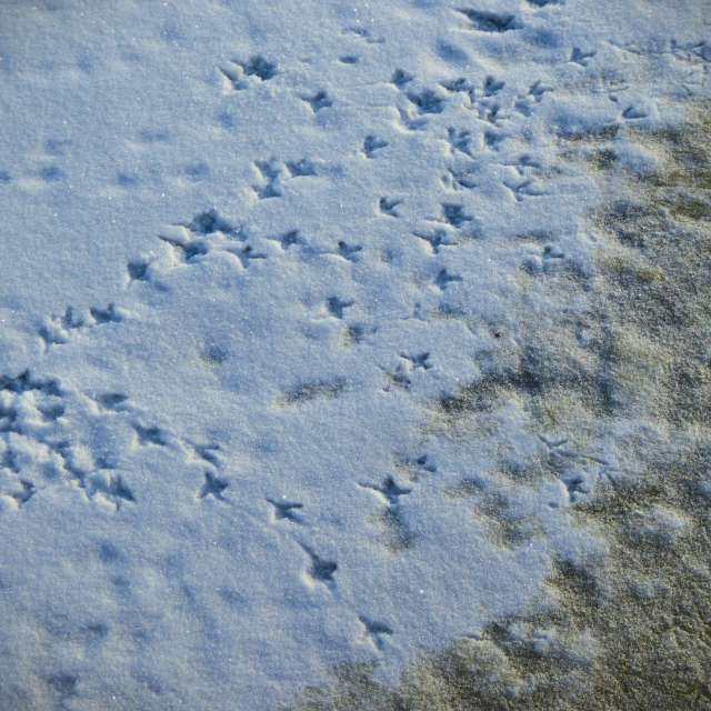 AlmaGenute53の美しい写真による天気予報