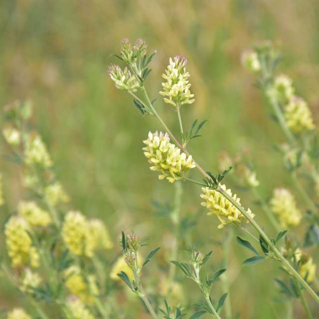 Weather forecasts with beautiful photos by 1stEyeFocused