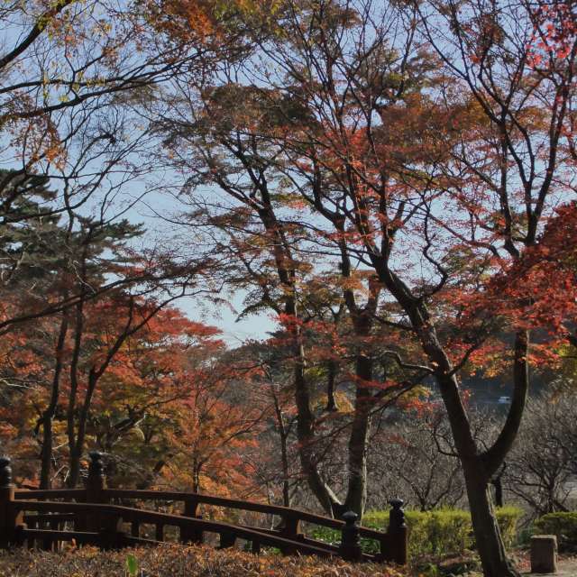 Large. Weather forecasts with beautiful photos by umemui Photos in Atami