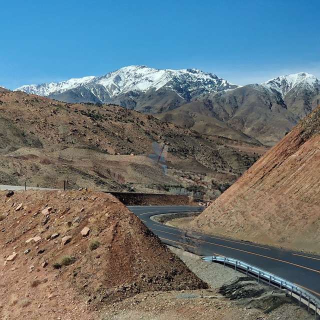 天气预报，带loris-b精美的照片