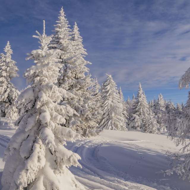 Фотографии Погоды в Мир. Прогнозы погоды с чудесными фотографиями, сделанными Nymph542
