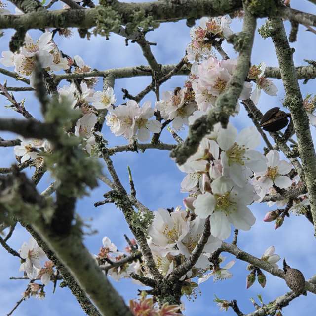 Weather forecasts with beautiful photos by Brtd