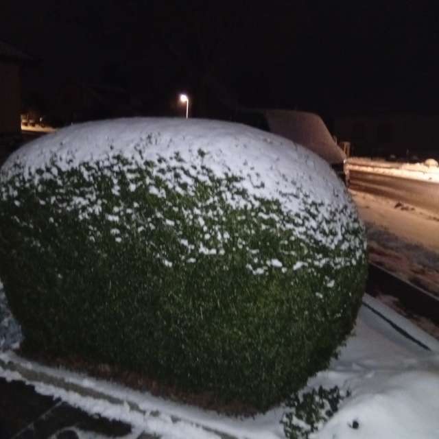 Pronósticos del tiempo con hermosas fotos de Kiki248