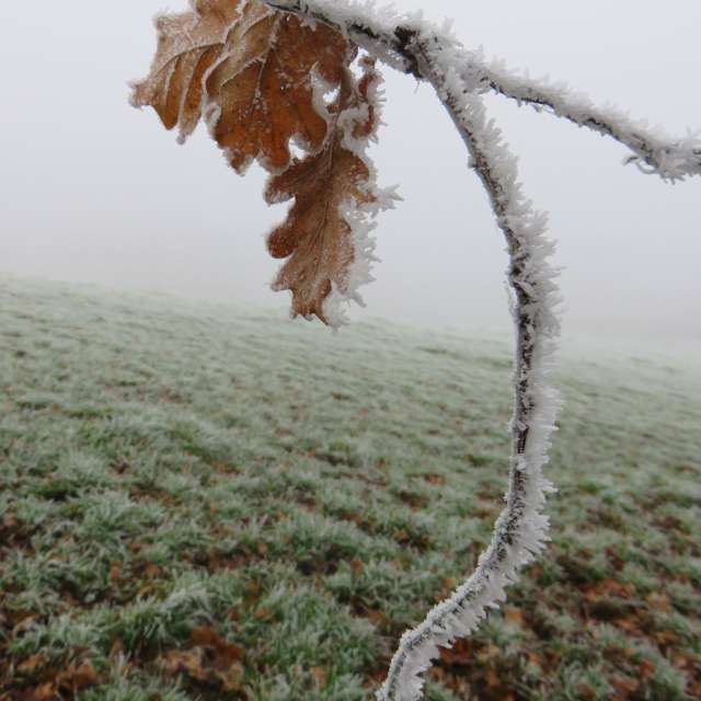 Weather forecasts with beautiful photos by MariePhotos