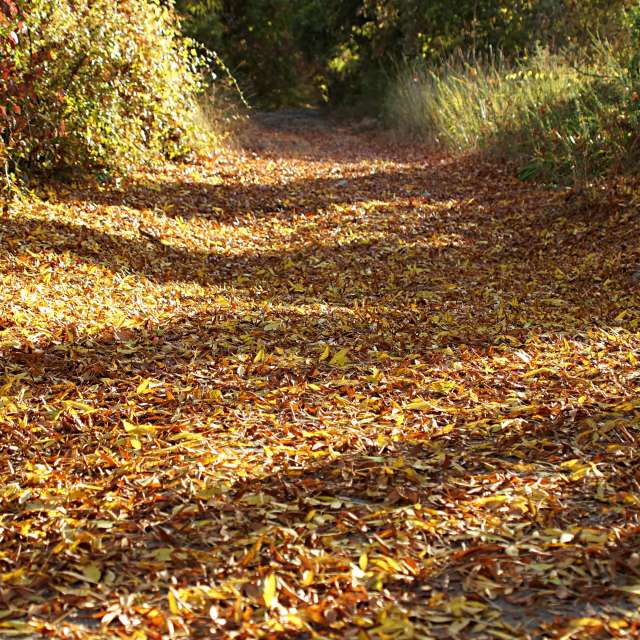 Open. Weather forecasts with beautiful photos by tony5636 Photos in Calvisson