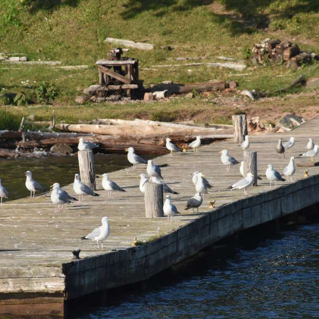 krantzjhの美しい写真による天気予報