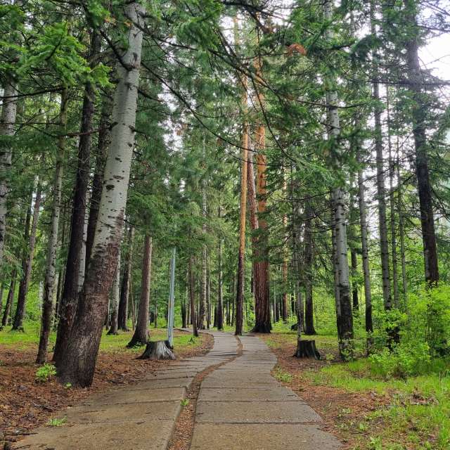 Pronósticos del tiempo con hermosas fotos de Fox_1900