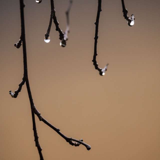 天气预报，带Nymph542精美的照片