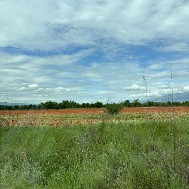 Gehen. Wettervorhersagen mit schönen Fotos von Sveti Fotos Bulgarien