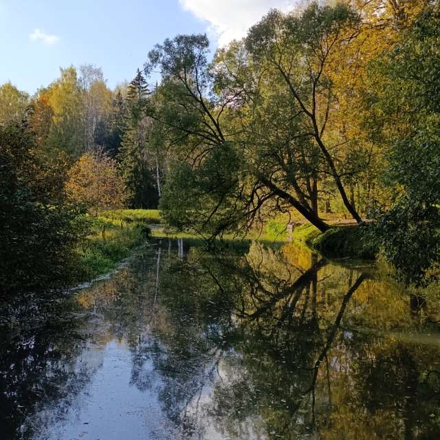 Прогнозы погоды с чудесными фотографиями, сделанными Lena_Glukhova