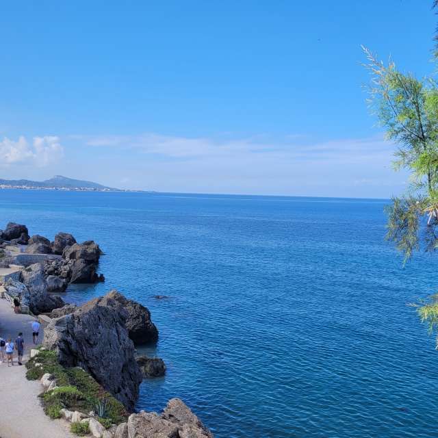 Pronósticos del tiempo con hermosas fotos de Servpage