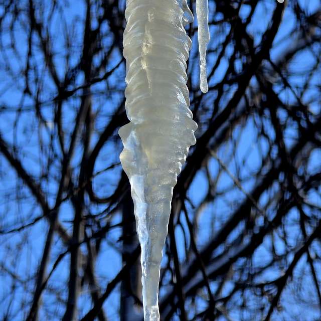 天气预报，带Mircea精美的照片