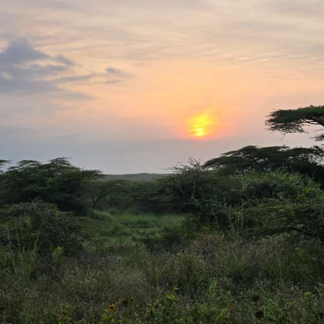Pronósticos del tiempo con hermosas fotos de Birdy25