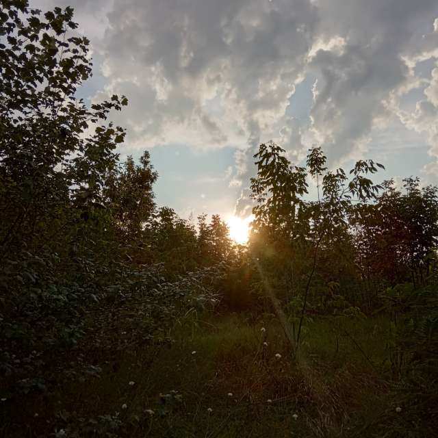 Novi Beograd的Weather. 天气预报，带Doc_H精美的照片照片