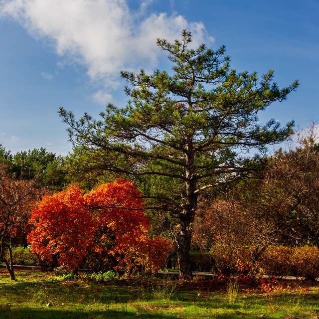 Wettervorhersagen mit schönen Fotos von Mihail_N24
