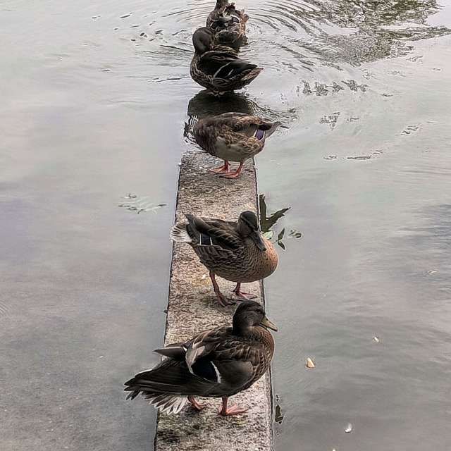 Fotos sobre el clima en Mundo. Pronósticos del tiempo con hermosas fotos de YanBog