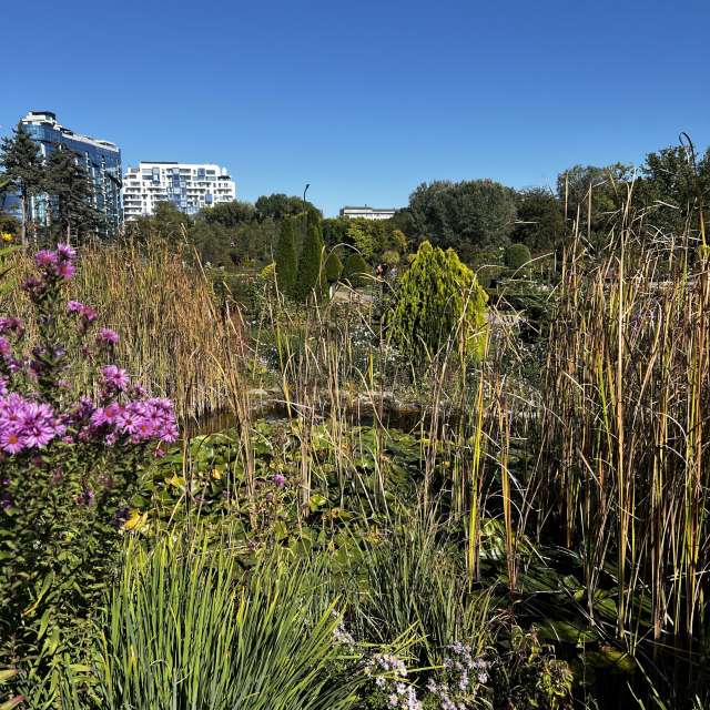 Photos Groupe. Prévisions météo avec de superbes photos de InnaMoon de Chişinău