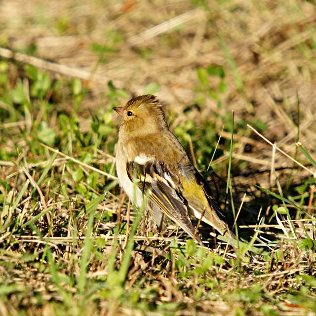 GREENE. Weather forecasts with beautiful photos by tony5636 Photos in World