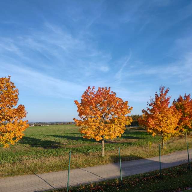 Previsões do tempo com lindas fotos de drollted
