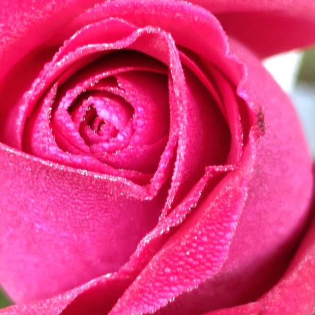 Anamarijaの美しい写真による天気予報