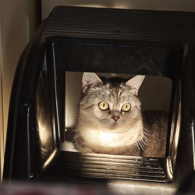 Pronósticos del tiempo con hermosas fotos de Fabri