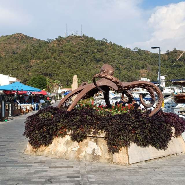 Prévisions météo avec de superbes photos de Ergun