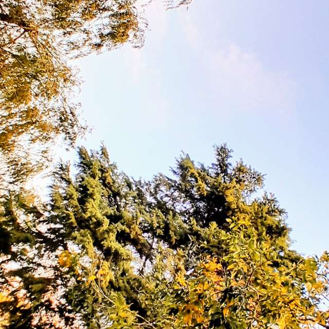 Water. Weather forecasts with beautiful photos by SEBASTIAN14 Photos in Olivos