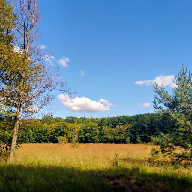 Glasmanの美しい写真による天気予報