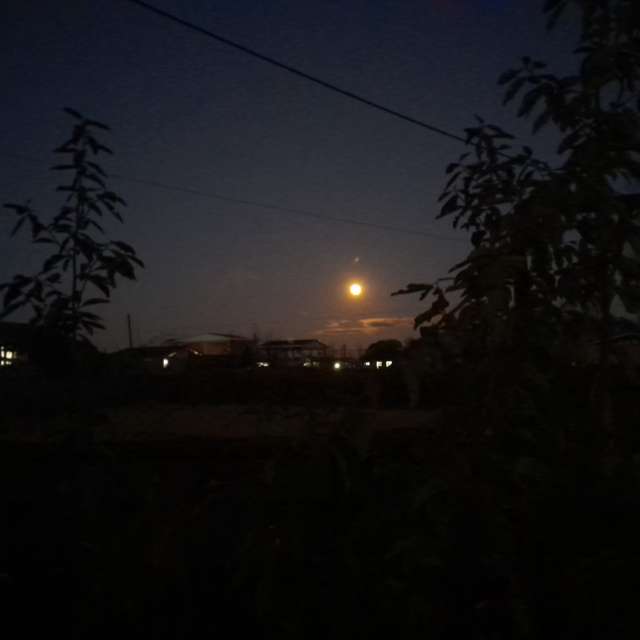 天气预报，带Soheilpmi精美的照片