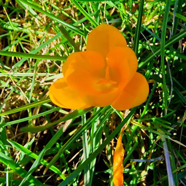 Fotos Fungos. Previsões do tempo com lindas fotos de Seni em Velbert