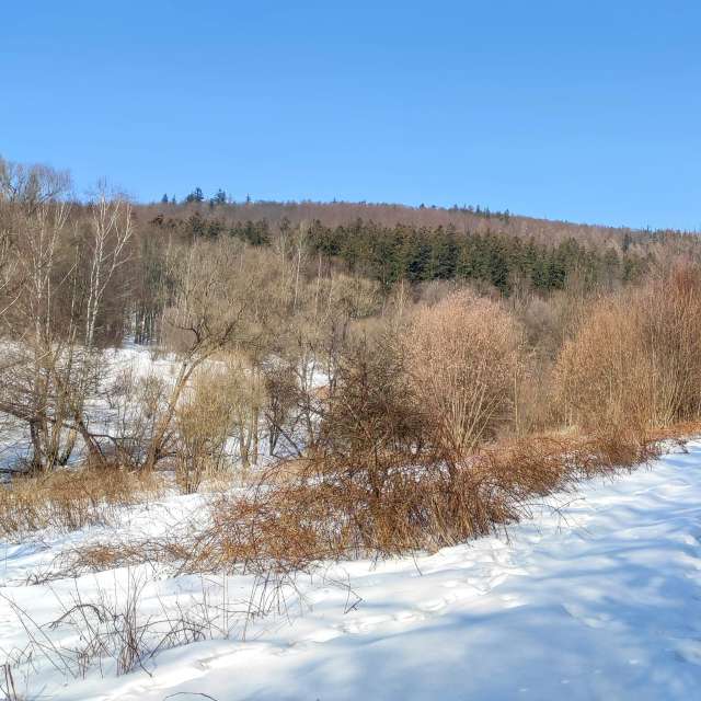 Little. Wettervorhersagen mit schönen Fotos von Kripo Fotos Ladek Zdroj