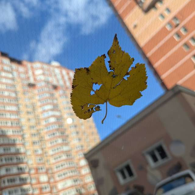 Weather forecasts with beautiful photos by GrgaP