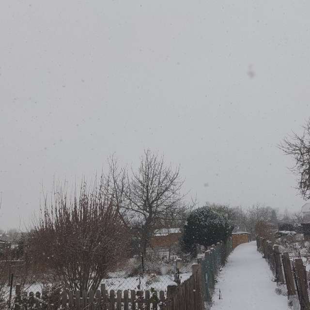 天气预报，带MaLou精美的照片