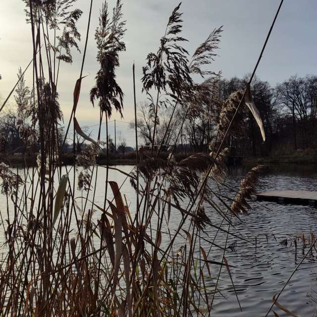 Weather forecasts with beautiful photos by Romek58