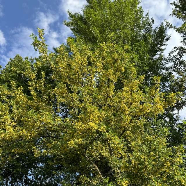 Water. Weather forecasts with beautiful photos by Ritha Photos in Izmaylovo