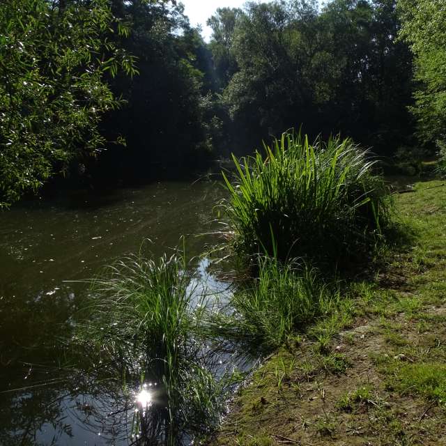 Fotos Clima. Previsões do tempo com lindas fotos de Vasek325 em Praha 12