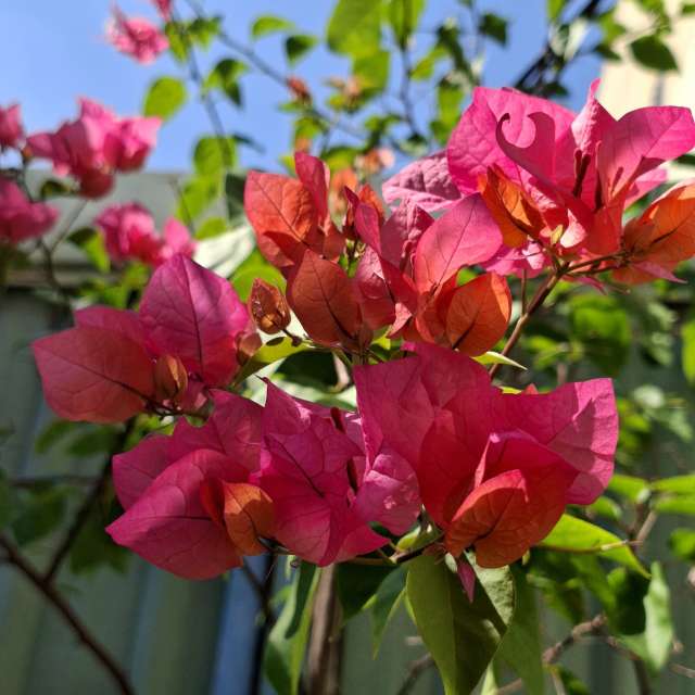 Full. Weather forecasts with beautiful photos by Wen-ya Huang Photos in Kaohsiung City