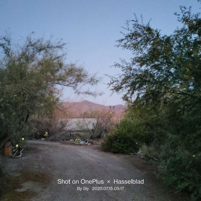 MsSlyの美しい写真による天気予報